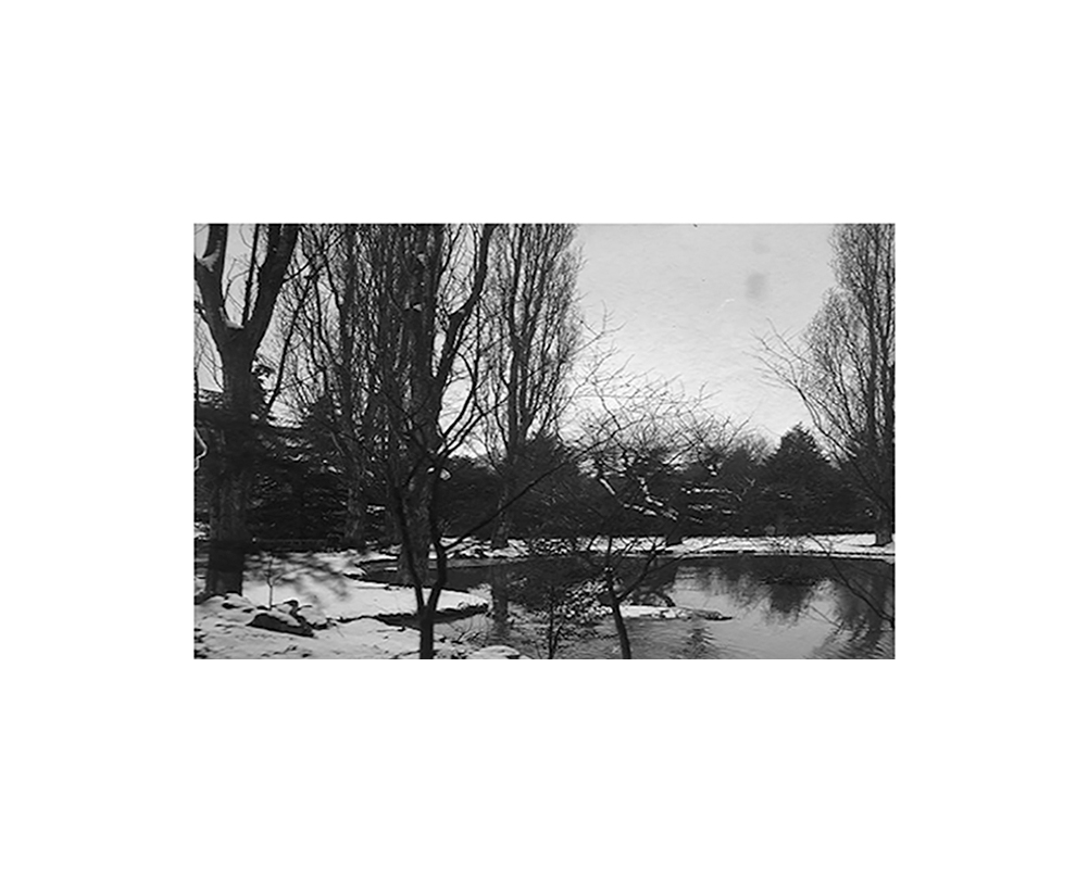 Parque del Oeste [Madrid]. El lago en invierno...